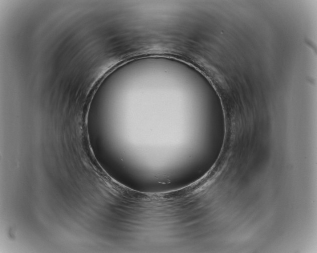 X0000099321170200805021307