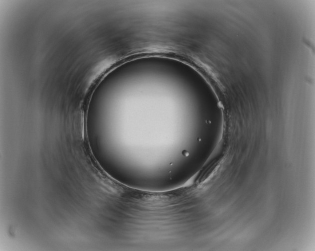 X0000099321171200805021307