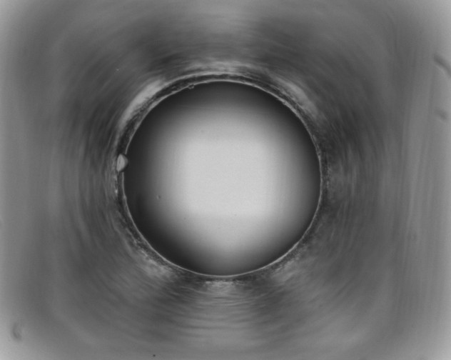 X0000099321172200805021307