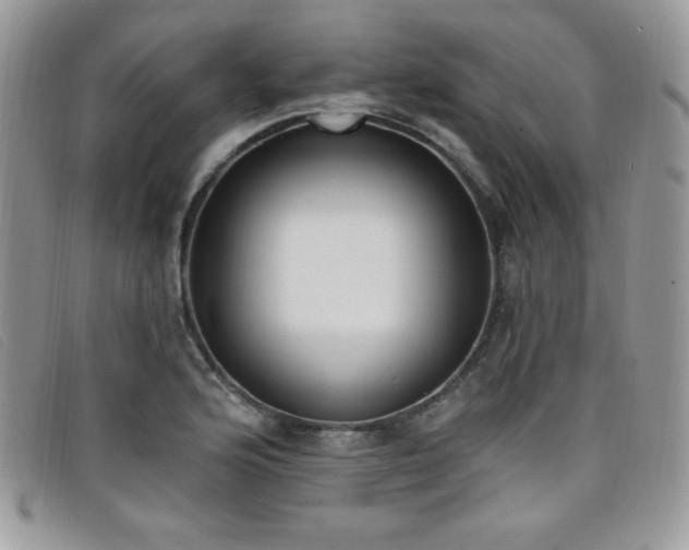 X0000099321176200805021307