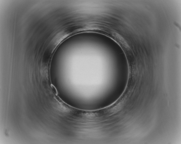X0000099321177200805021307