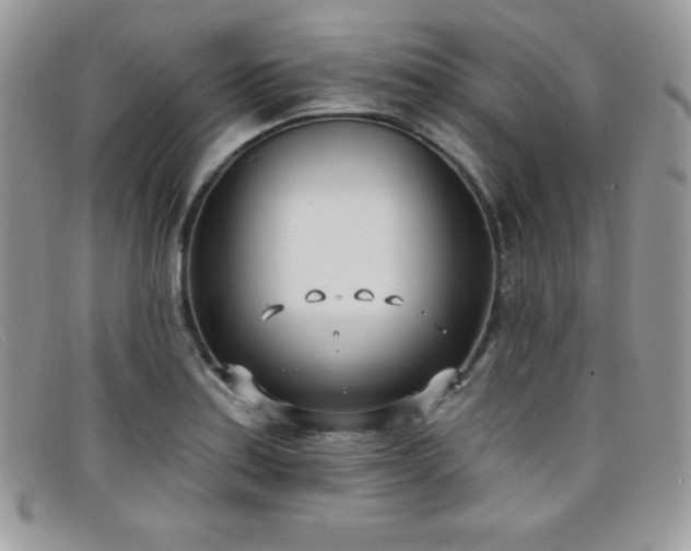 X0000099321179200805021307