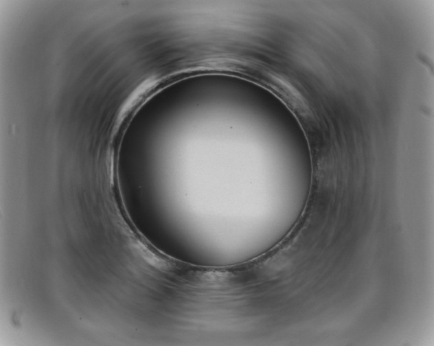 X0000099321180200805021307