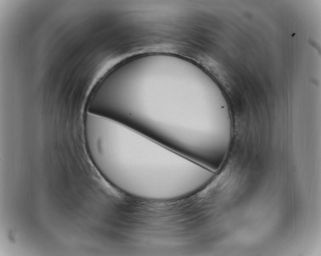 X0000099321184200805021307