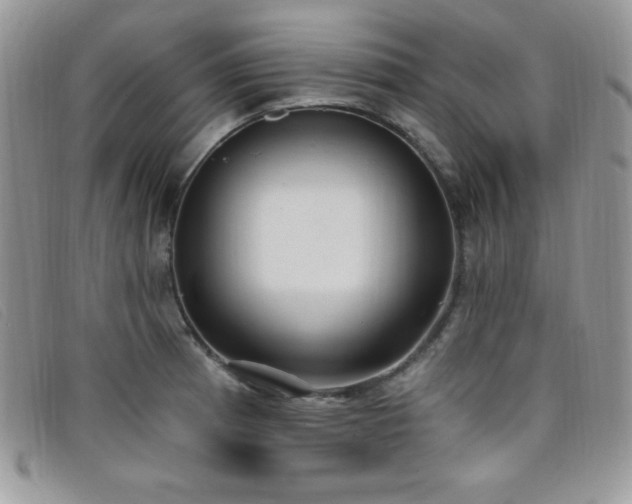 X0000099321185200805021307