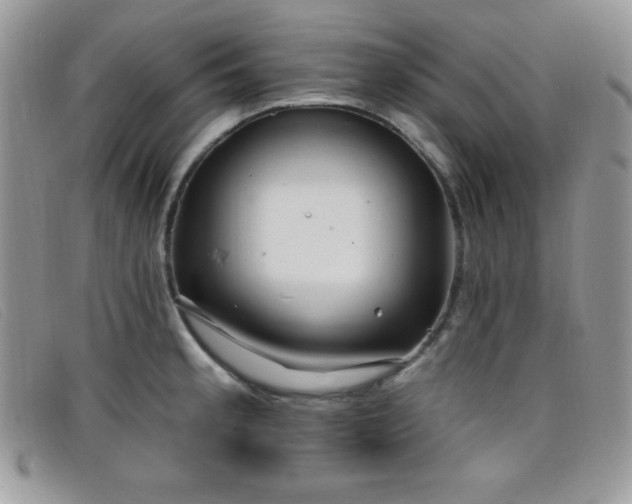X0000099321189200805021307