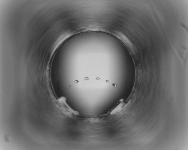 X0000099321190200805021307
