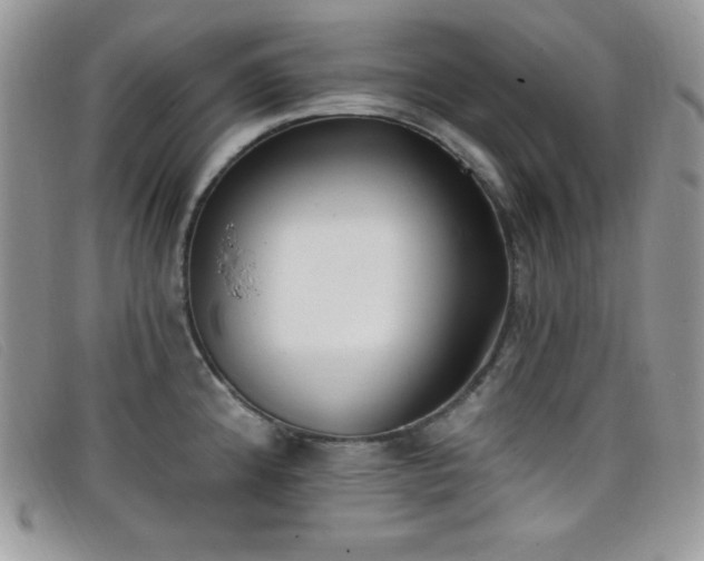 X0000099321192200805021307