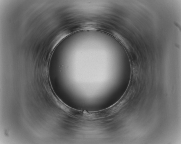 X0000099321194200805021307