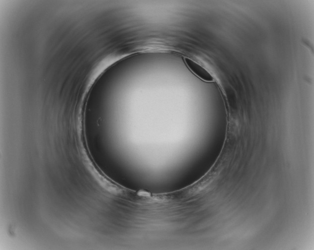 X0000099321195200805021307