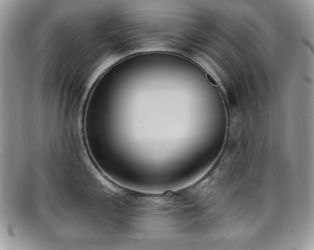 X0000099321197200805021307