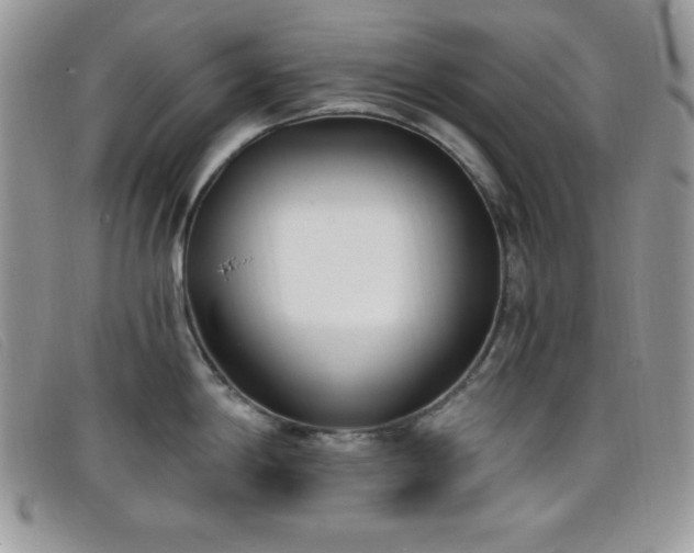 X0000099321198200805021307