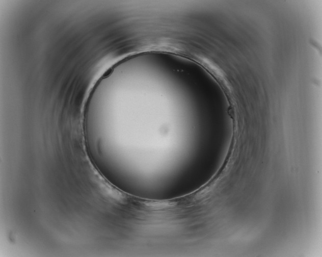 X0000099321200200805021307