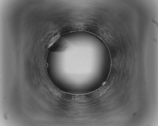 X0000099321201200805021306