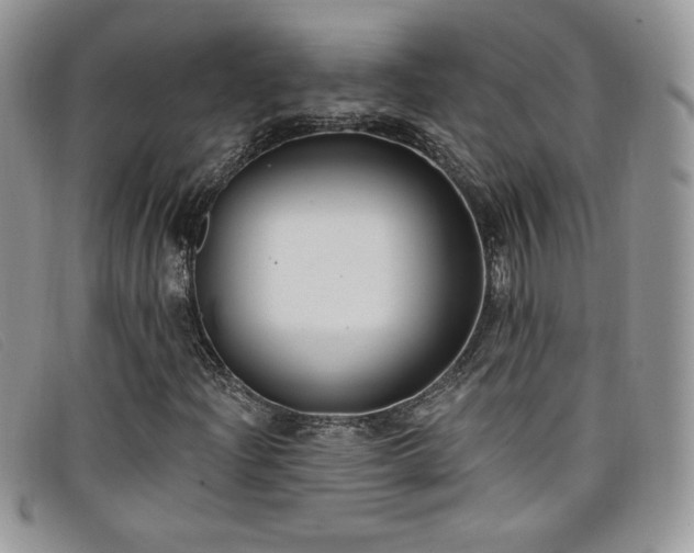 X0000099321204200805021306