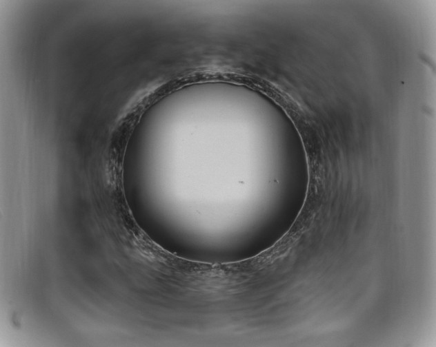 X0000099321207200805021306