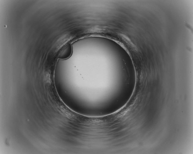X0000099321209200805021306
