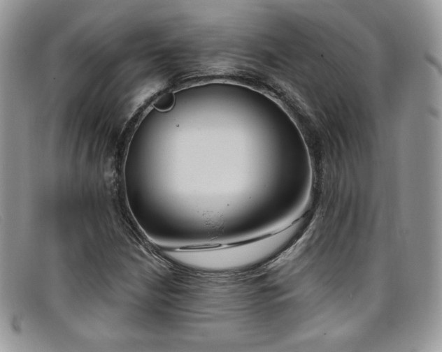 X0000099321210200805021306