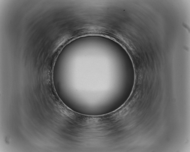 X0000099321211200805021306