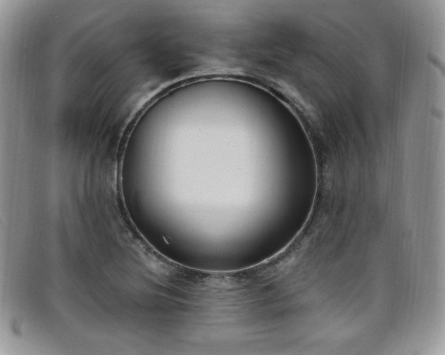 X0000099321220200805021306