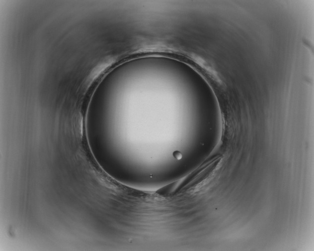 X0000099321221200805021306