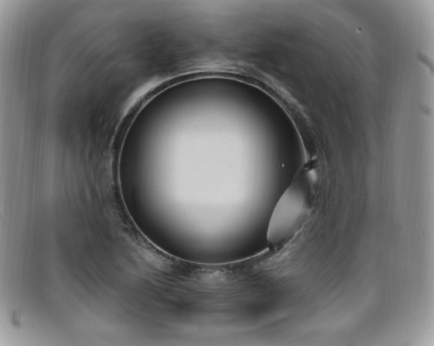 X0000099321222200805021306