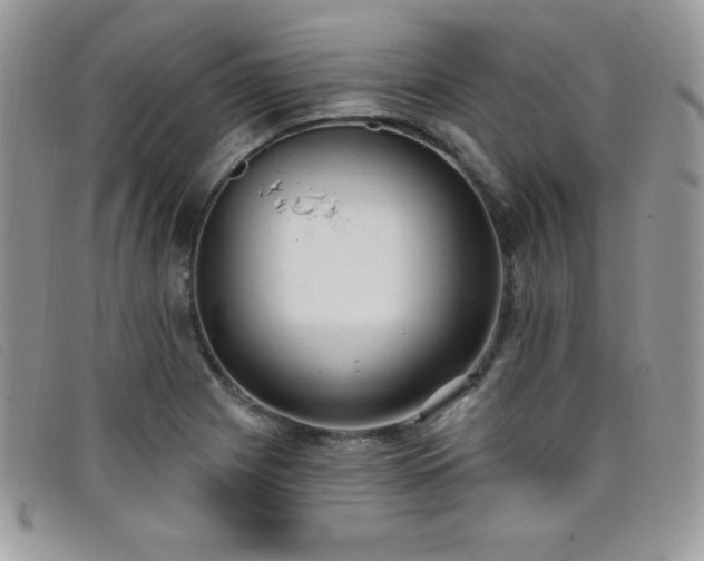 X0000099321225200805021306