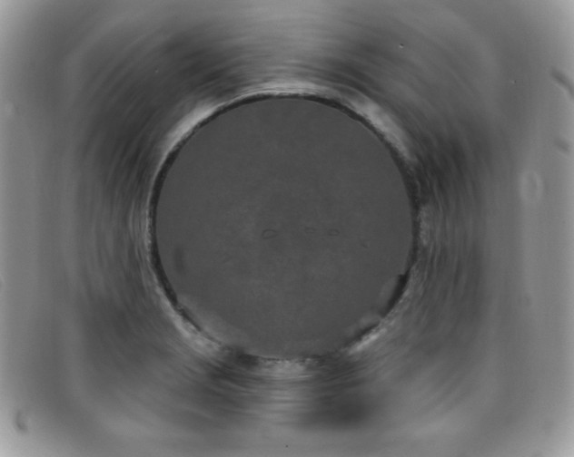 X0000099321229200805021306