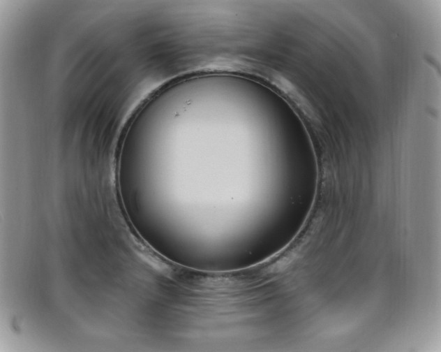 X0000099321232200805021306