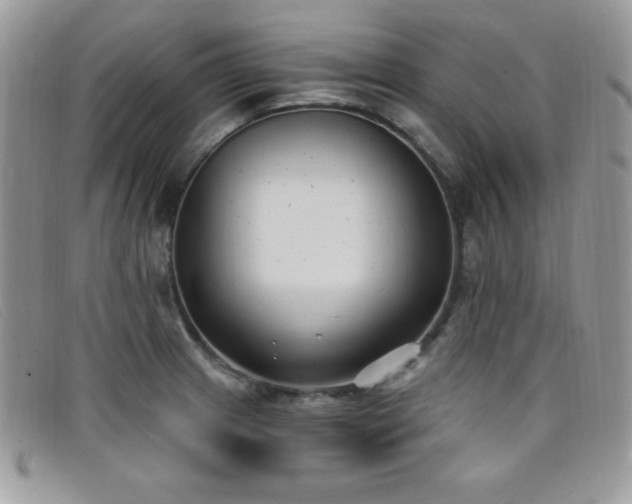 X0000099321233200805021306