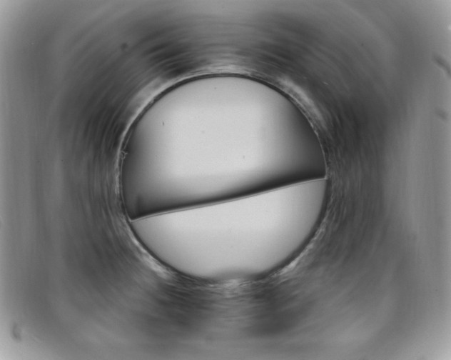 X0000099321236200805021306