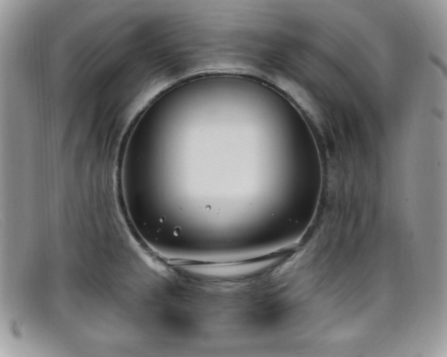X0000099321237200805021306