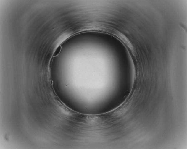 X0000099321242200805021306