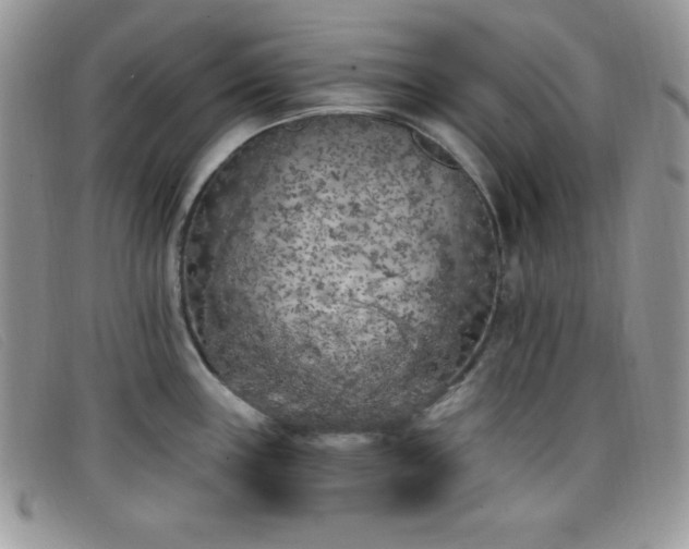 X0000099321243200805021306