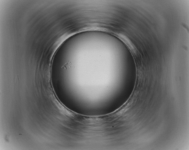 X0000099321244200805021307
