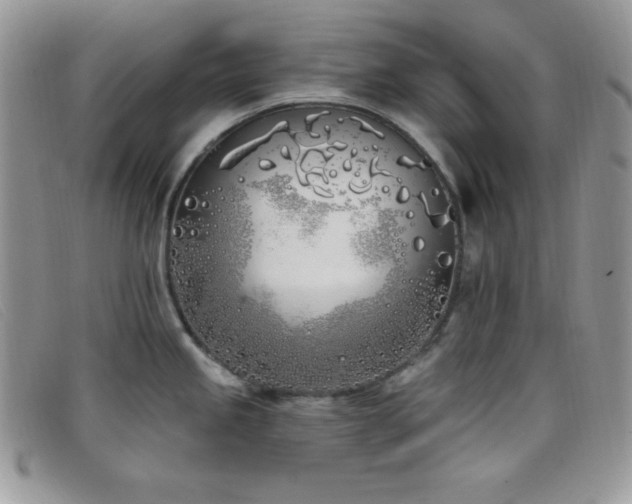 X0000099321245200805021307