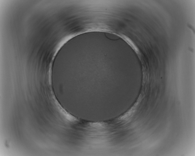 X0000099321246200805021307