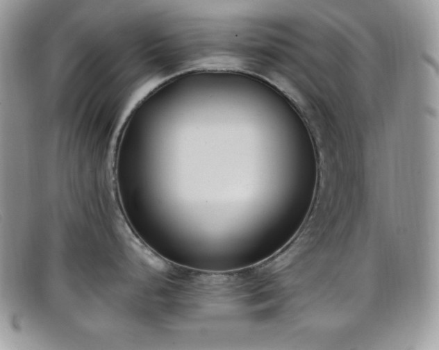 X0000099321248200805021307