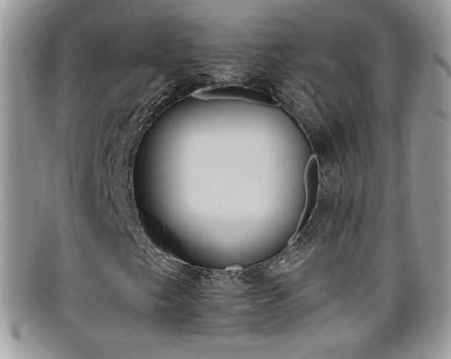 X0000099321249200805021306