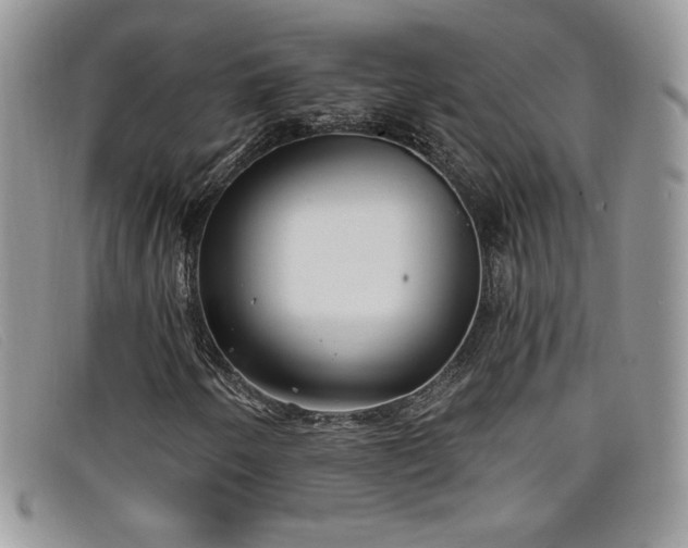 X0000099321250200805021306