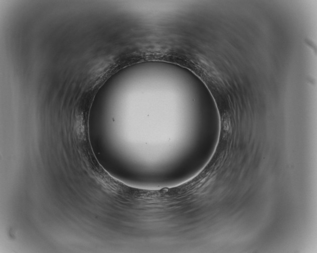 X0000099321252200805021306