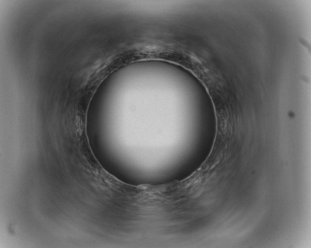 X0000099321253200805021306