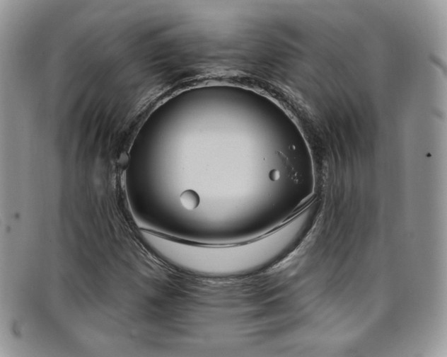 X0000099321257200805021306