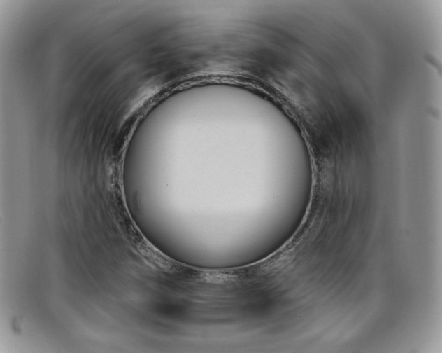 X0000099321258200805021306