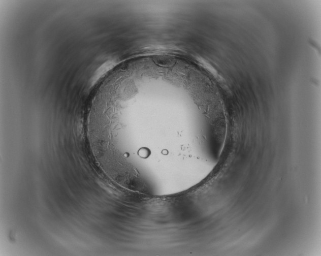 X0000099321259200805021306