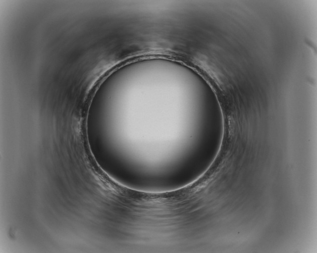 X0000099321260200805021306