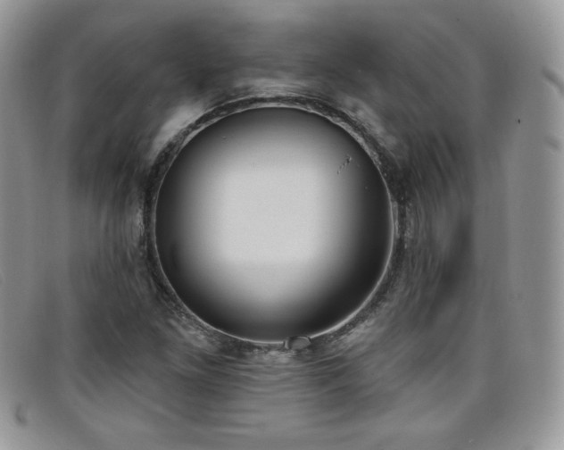 X0000099321261200805021306