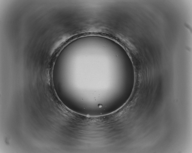 X0000099321262200805021306