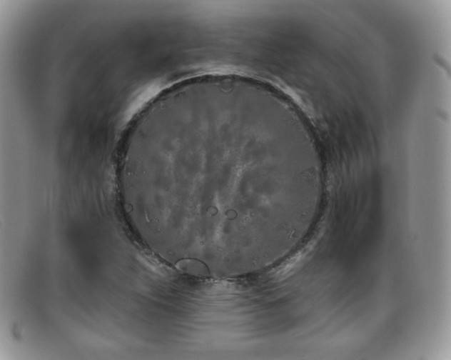 X0000099321263200805021306