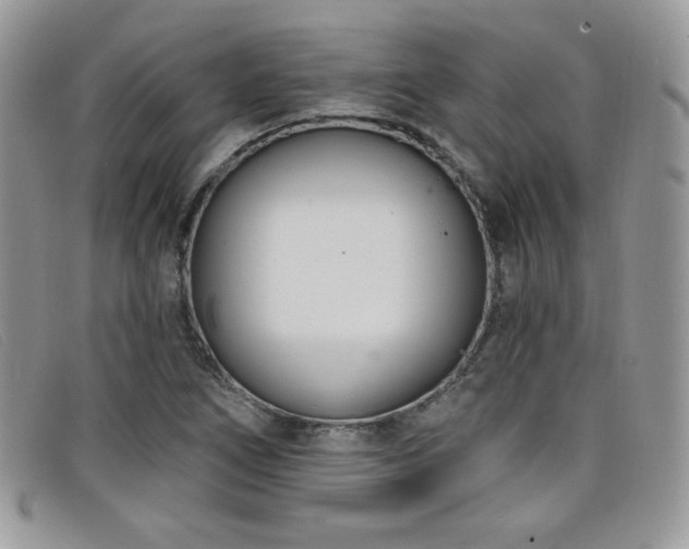 X0000099321266200805021306